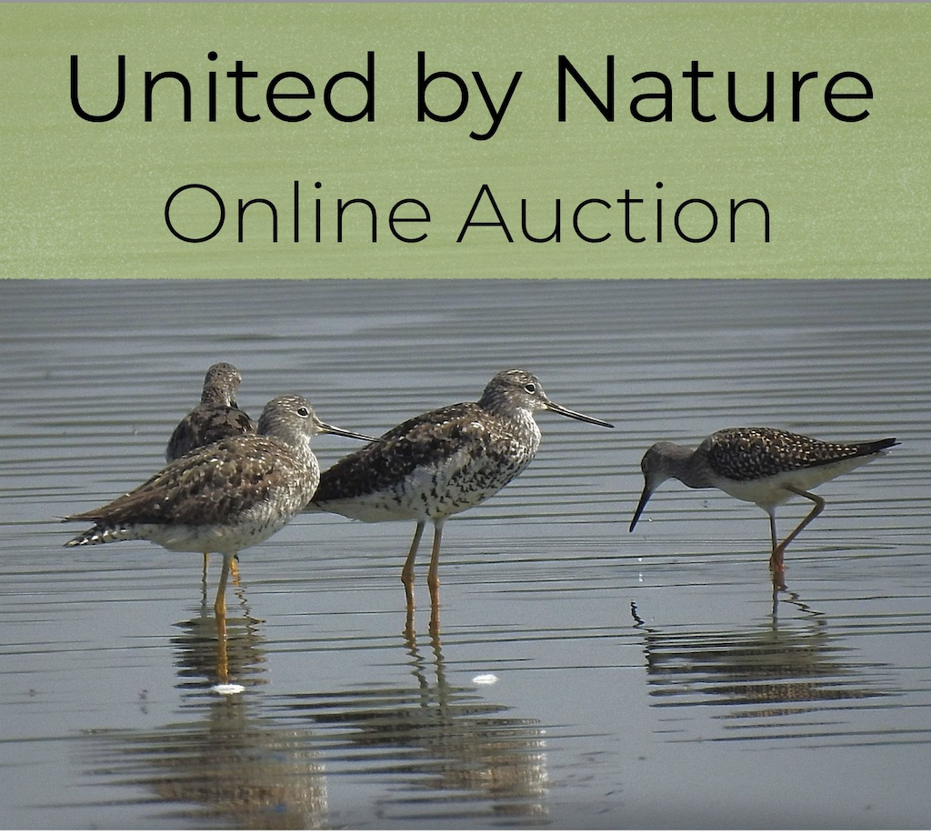 United by Nature Online Auction graphic